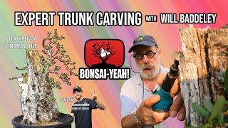 European Olive Trunk Carving w/ Will Baddeley - Bonsai-YEAH!