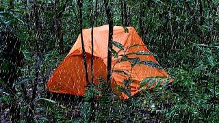 Solo Camping in the Forest During Thunderstorms • Enjoying the Sound of Rainwater