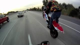 2010 yamaha r6 wheelies