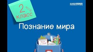 Познание мира. 2 класс. Мои права и обязанности /15.10.2020/