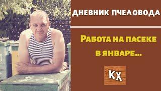 Подкормка пчел зимой мёдом - нужно или нет??? / Зимняя подкормка пчел - (личный опыт) / Пчеловодство