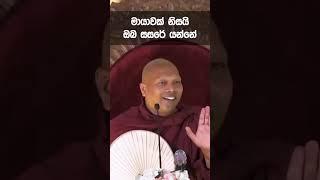 සසරේ මායාව | Niwathapa Thero | Niwana Soya #shorts #bana #buddha