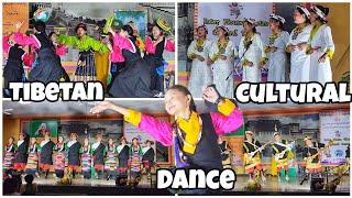 Tibetan Culture Dance || STS Kollegal || Tibetan YouTuber || Tibetan Vlogger