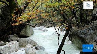 Λουτρά Πόζαρ | Pozar Thermal Baths inPozar.net