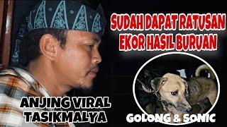 MANTAP || ANJING INI SUDAH DAPAT RATUSAN EKOR HASIL BURUANNYA