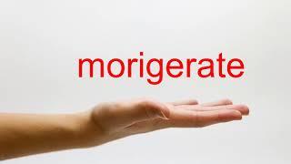 How to Pronounce morigerate - American English