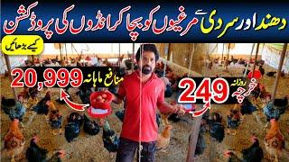 Murgi Ko Thand Se Kaise Bachaye || Murgiyon Se Zyada Ande Lene Ka Tarika || Hen Farming in Pakistan