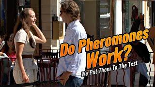 Do Pheromones Work?