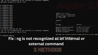 how to fix error of : ng is not recognized as an internal or external command @angular/cli