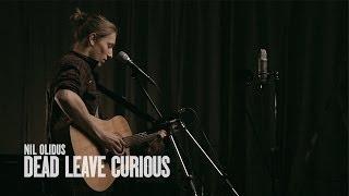 Nil Olidus - Dead Leave Curious (ШOOM_live)