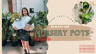 Why I ALWAYS use nursery pots for potting up plants