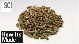 How It's Made: Wood Pellets