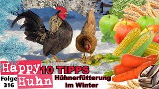 Hühnerfütterung im Winter! 10 Tipps für das beste Futter um die Hühner zu verwöhnen! HAPPY HUHN E316