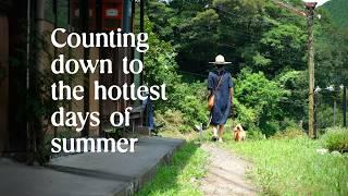 Counting down to the hottest days of summer in the Japanese countryside