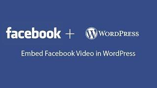 How to Embed Facebook Video in WordPress