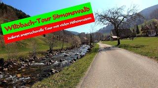 Wildbach-Tour Simonswald über "Spitzer Stein", Hintereck und durch die Teichschlucht...