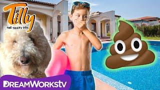 Poop Ruins The Pool Party | TILLY THE TRICKY DOG