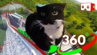 VR 360° Maxwell the cat on a roller coaster