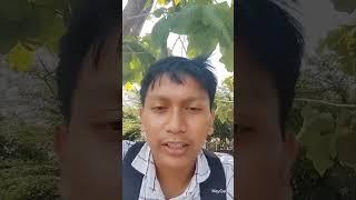 Tugas TIK mengumpulkan video ai. Pagah Budi P(213) 3F