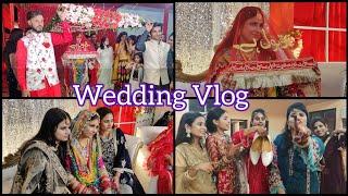 Cousin's weeding vlog  | Sonam Appi ki shadi ho gyi  | Family Vlog