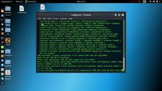 Updating kali linux with this bash command.