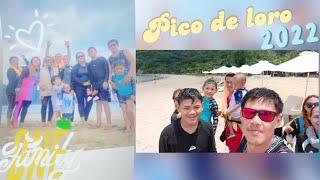 min2day - Pico de loro 2022