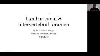 Intervertebral foramen and Lumbar canal anatomy for Endoscopic trans-foraminal approach