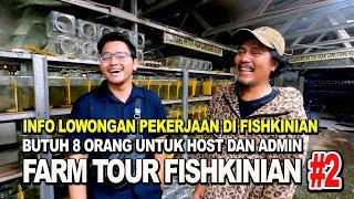 INFO LOWONGAN KERJA DI FISHKINIAN - FARM TOUR #2