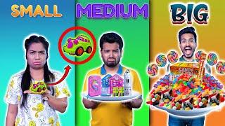 SMALL vs MEDIUM vs BIG CHALLENGE | CRAZY CHALLENGE | Hungry Birds