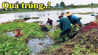 Vây bắt cá đồng nằm trong cỏ mùa nước rút  trúng to bầy cá | THÚ VUI MIỀN TÂY. 04