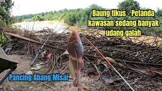 Petanda tengah banyak udang galah. Mancing di Sg Kg Awat