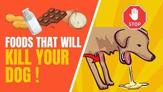 20 Common Foods That Will Kill Your Dog | Topissimo Animals