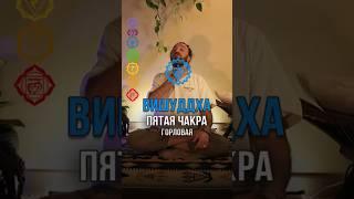 Переводится как чистая или очищение #вишудха #вишудхачакра #чакра #чакры #чакральнаясистема #йога