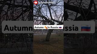 Autumn In Russia  #shorts #trending #student #autumn #Russia