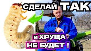 СДЕЛАЙ ТАК и Хрущей не будет! ПРОВЕРЕНЫЙ МЕТОД