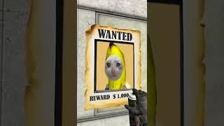 Gman Hid the Bananacat #gmod 