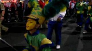 Cape Town Fan Walk Carnaval