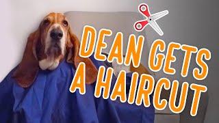 Dean gets a haircut!! ️