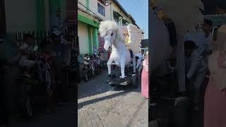 kuda poni cute | karnaval al asyhar sungonlegowo 2023 #shorts #viral #karnavalalasyhar