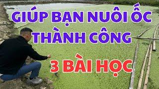 3 BÀI HỌC sẽ giúp bạn Nuôi Ốc Nhồi THÀNH CÔNG