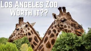 Where are the animals at the LA Zoo?