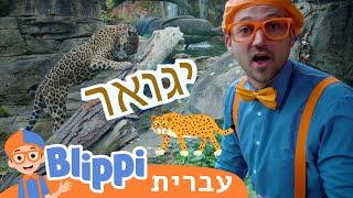 *Amazing Animals* | טלוויזיה לילדים | בדוק את זה! תסתכל על זה! BLIPPI