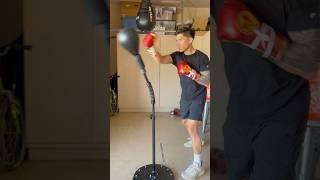 Punching Vali Lotus Cobra Bag With Angeles Boxing Gloves