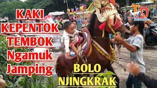 KUDA DELMAN TD  Foot Kepentok Wall ,, !! Jamping Mosquitoes; Special Horse Delman Riding Kemayoran