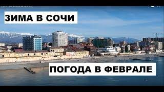 +20 В СОЧИ / ЗИМА В СОЧИ / ПОГОДА В СОЧИ В ФЕВРАЛЕ 2021 / ЖИЗНЬ В СОЧИ / ОТДЫХ В СОЧИ