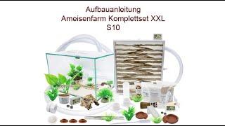 Aufbauanleitung Ameisenkomplettset Ameisenfarm S10 & XXL & XL