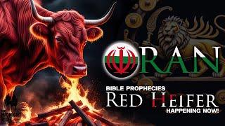 Major Alerts: Iran in Bible Prophecy and the Red Heifer Sacrifice in Israel