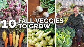 10 Veggies to Plant NOW for a Fall Harvest