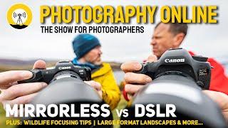 Mirrorless vs DSLR, 70-200mm test, Focusing on moving subjects, Large format photography and more.