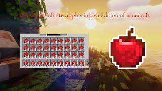 NEW MINECRAFT DUPE 1.20.4 | INFINITE APPLE DUPE | PAPERMC / SPIGOT | WORKS ON ALL SERVERS